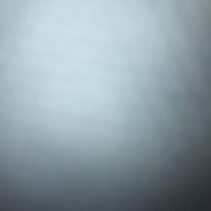 Meet your Posher, Rodney